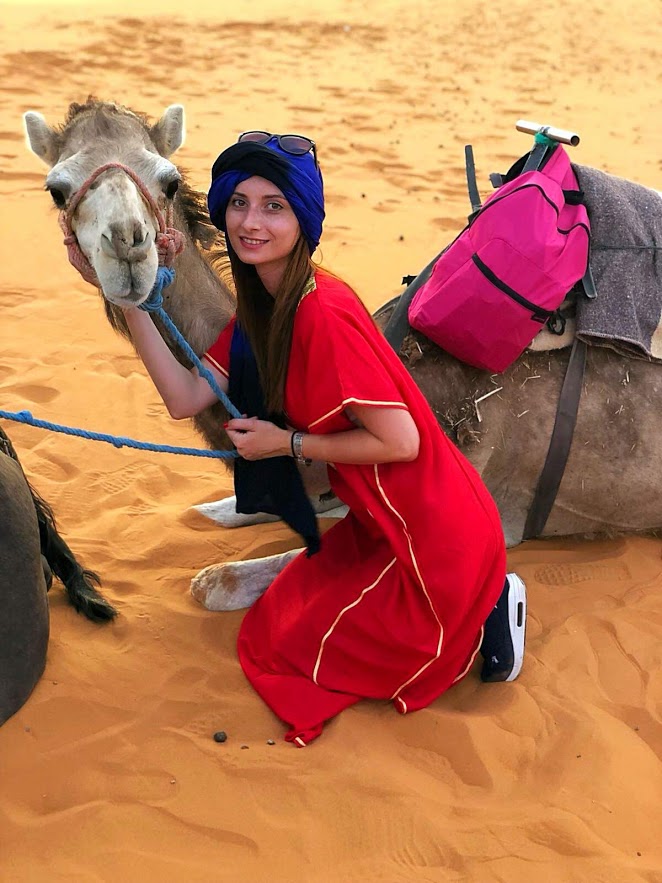 Camel in the Merzouga